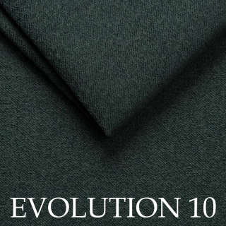 Evolution 10
