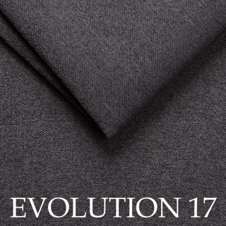 Evolution 17
