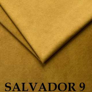 Salvador 09