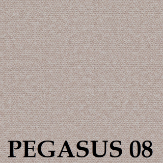 Pegasus 08