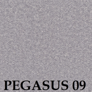 Pegasus 09