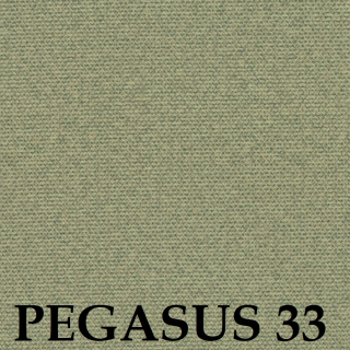 Pegasus 33