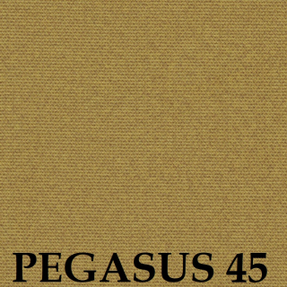 Pegasus 45