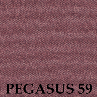 Pegasus 59