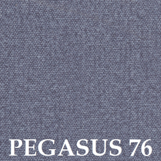 Pegasus 76