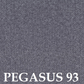 Pegasus 93