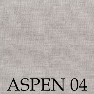 Aspen 04