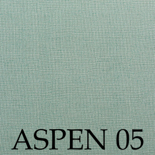 Aspen 05