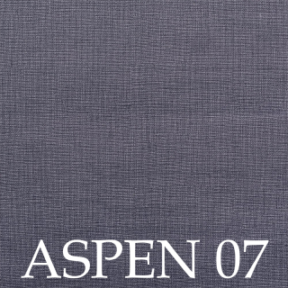 Aspen 07