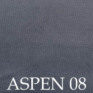 Aspen 08