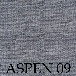 Aspen 09