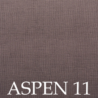 Aspen 11