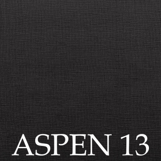 Aspen 13