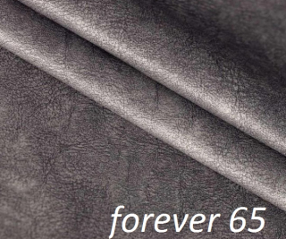 Forever 65