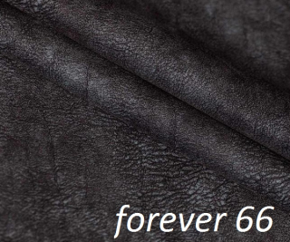 Forever 66