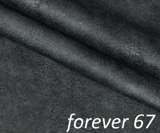 Forever 67