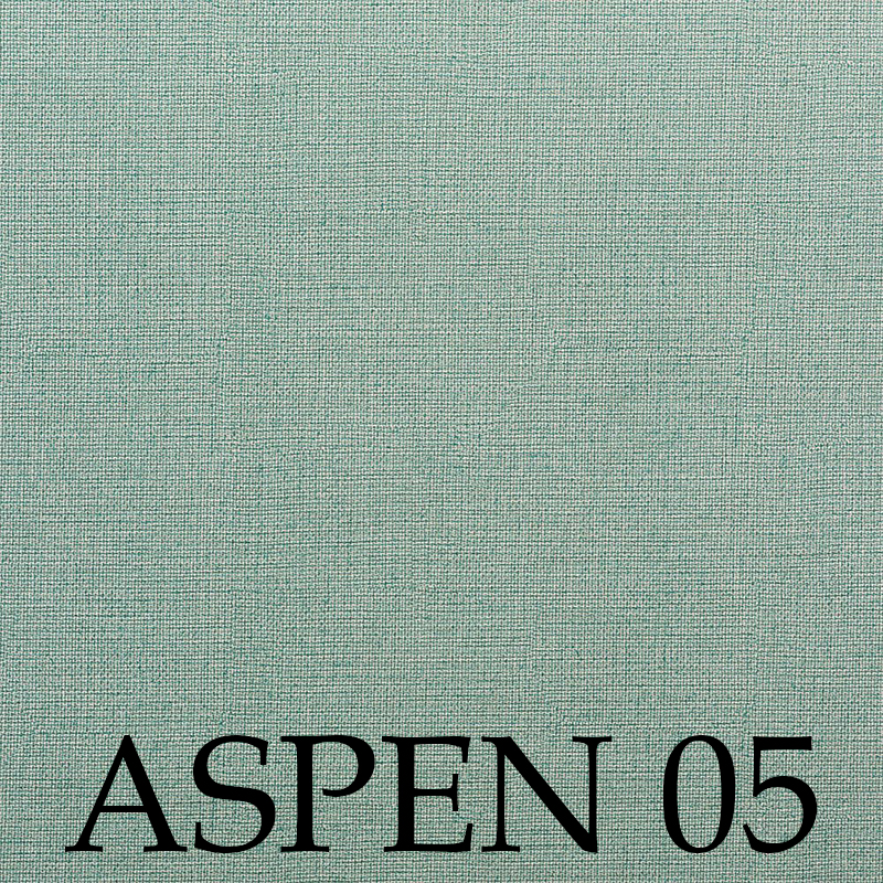 Aspen 05