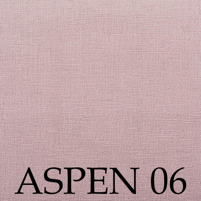 Aspen 06
