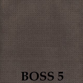 Boss 05