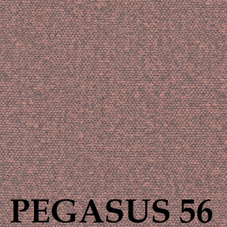 Pegasus 56